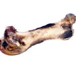 Ostrich Short Bone