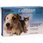 Capstar Small <11kg 6 tabs