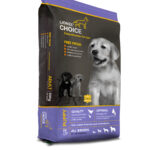Lionel's Choice Puppy